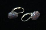 Dark Blue, Polished Dinosaur Bone (Gembone) Earrings #54101-1